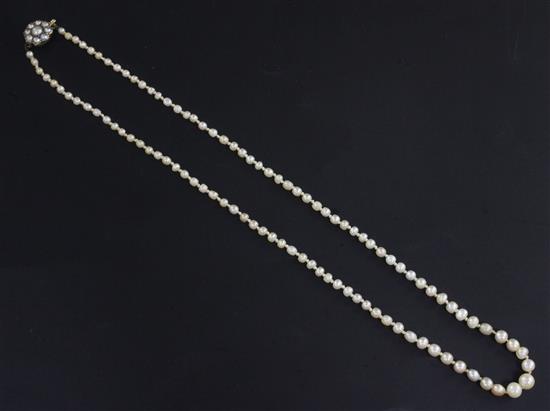 A single strand graduated natural salt water pearl necklace, 46cm.